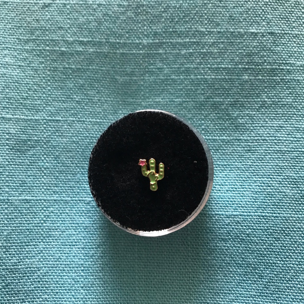 Origami Owl cactus charm